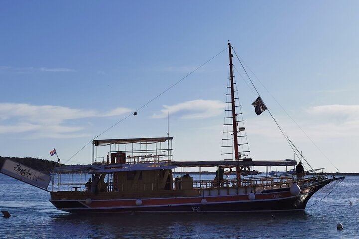 Dolphin Sightseeing in Poreč
