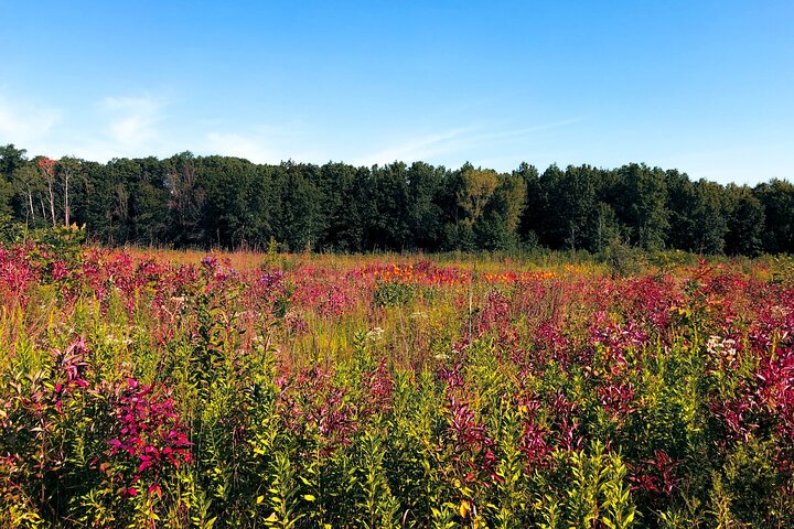 Indiana Dunes National Park Self-Guided Audio Tour