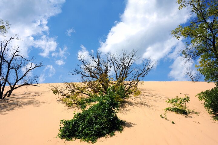 Indiana Dunes National Park Self-Guided Audio Tour