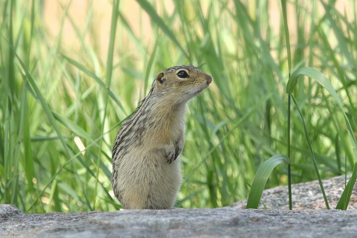 Indiana Dunes National Park Self-Guided Audio Tour