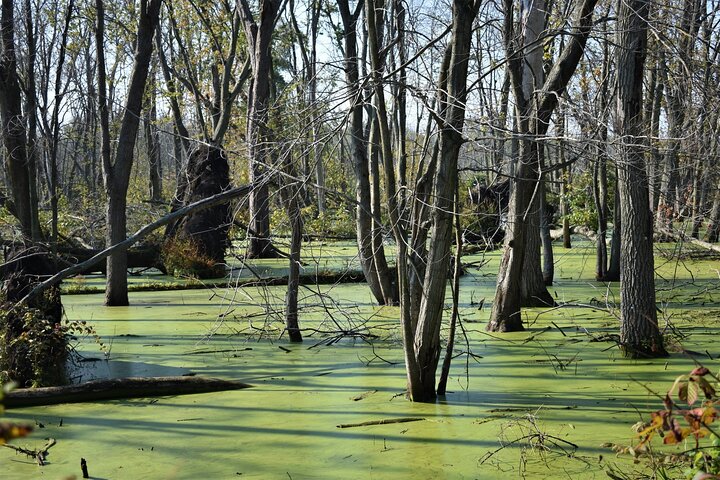 Indiana Dunes National Park Self-Guided Audio Tour