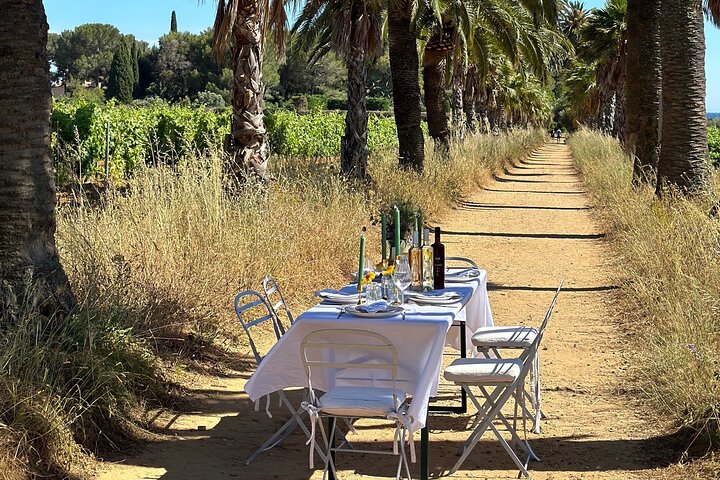 Dinner in the Vineyard Saint Tropez