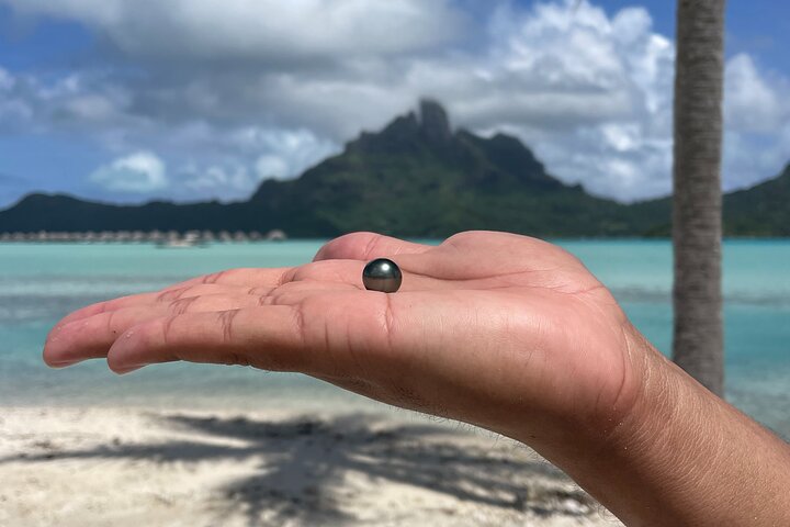 Discover the black pearl in Bora Bora