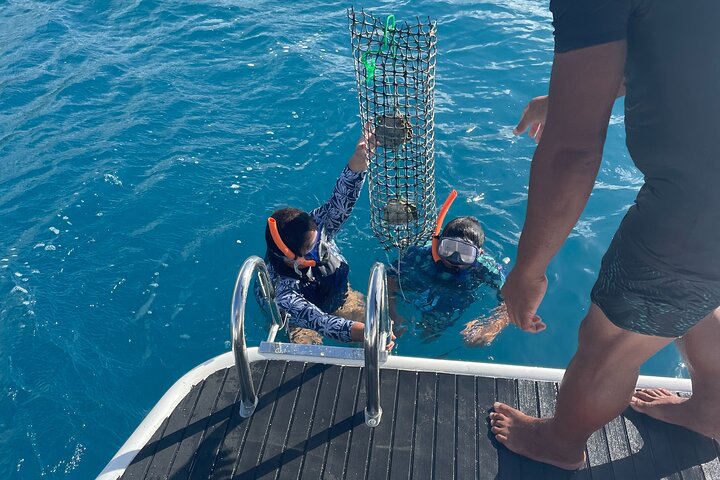 Discover the black pearl in Bora Bora