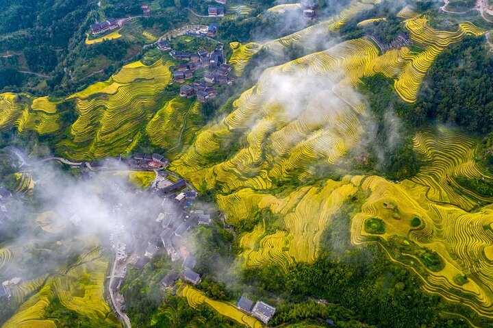 Longji Rice Terraces with Minority Village Private Day Tour