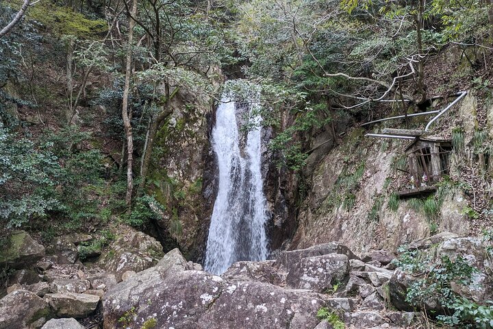 Private 3 Hours Waterfalls Sightseeing Tour