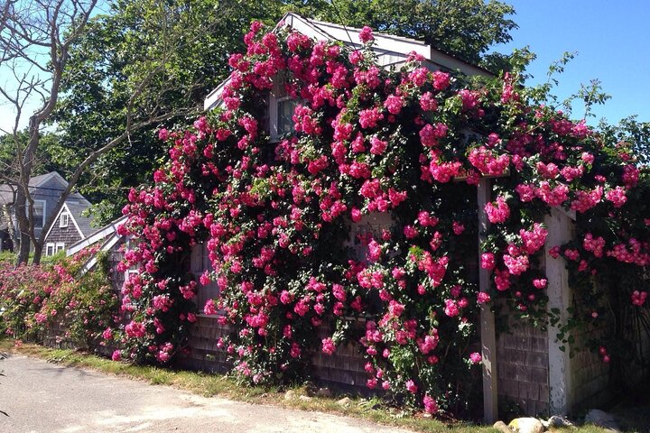 Historical Tour of Nantucket