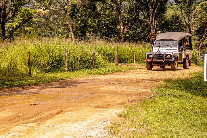 Waterfall Jungle Jeep Adventure and Cachaca Tour from Paraty