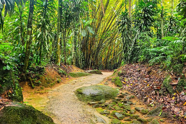 Waterfall Jungle Jeep Adventure and Cachaca Tour from Paraty