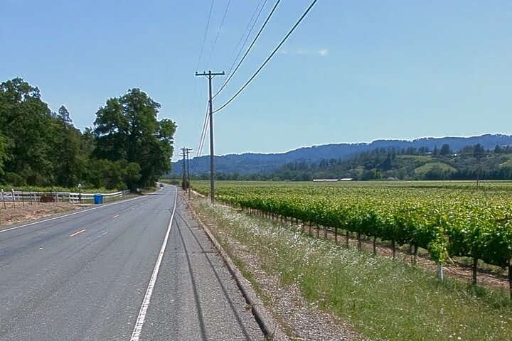 Full Day Guided Electric Bike Wine Tasting Tour with Lunch