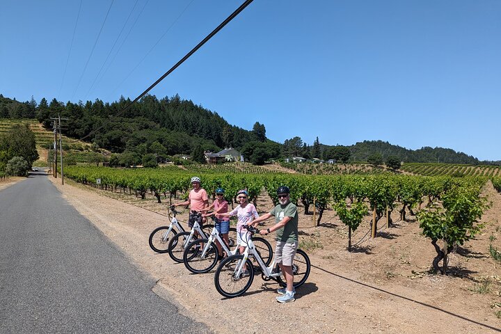 Full Day Guided Electric Bike Wine Tasting Tour with Lunch