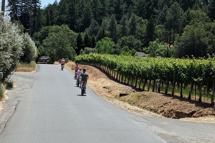 Full Day Guided Electric Bike Wine Tasting Tour with Lunch