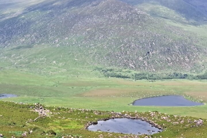 Private Ring of Kerry Tour from Cork City