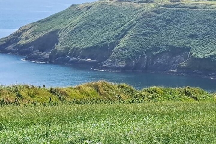 Private Ring of Kerry Tour from Cork City