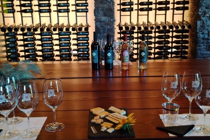 Silvara Cellars Hillside Wine Tasting Experience with a Sommelier
