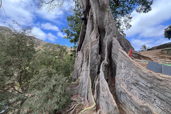 Santiago Island Experience - Culture, Nature & Tarrafal Beach
