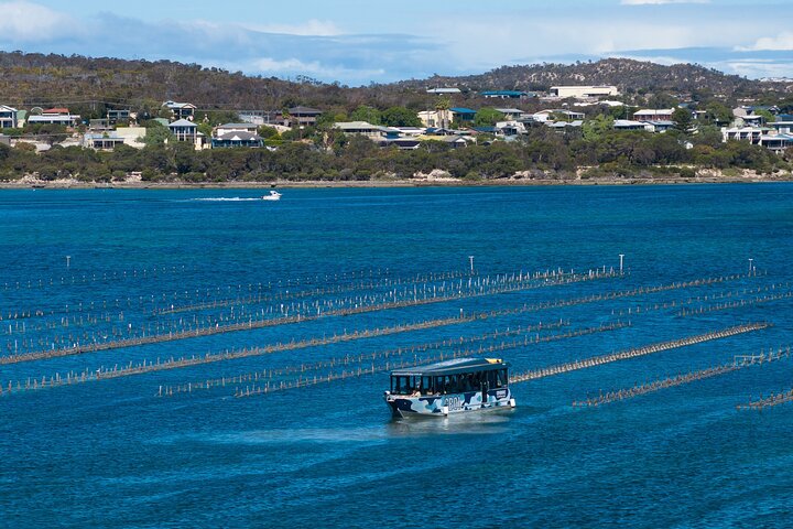 Experience Coffin Bay Short and Sweet Oyster Farm Tour