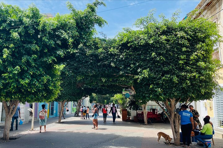 Beach & Old Town Tour – History, Culture & Iconic Sights