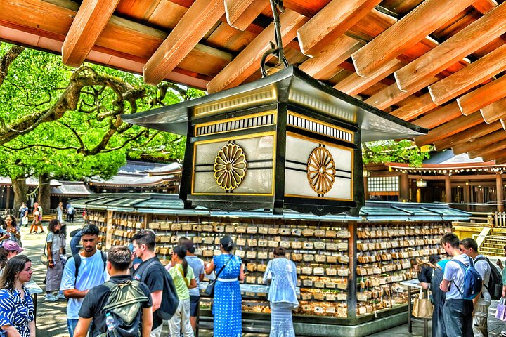 Tokyo Private Discovery Tour | Unique Insights & Must Sees