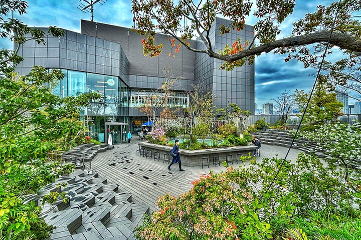 Tokyo Private Discovery Tour | Unique Insights & Must Sees