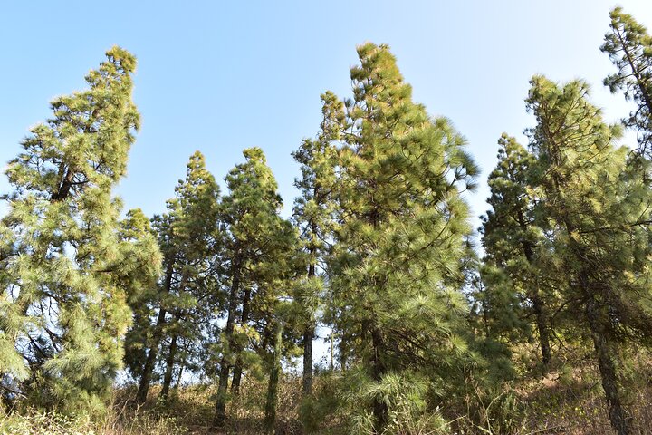 Hiking in Serra Malagueta Natural Park – Scenic Trails & Nature