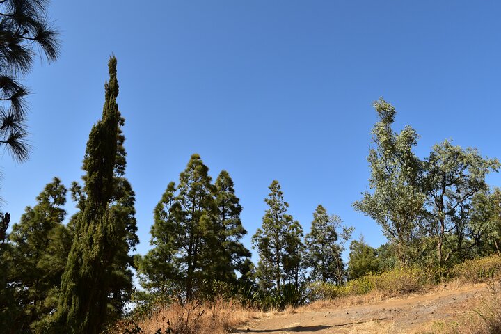 Hiking in Serra Malagueta Natural Park – Scenic Trails & Nature