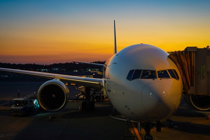 Narita Airport Layover Transit: Guided Private Tour