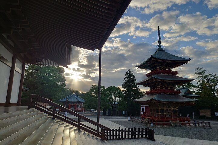 Narita Airport Layover Transit: Guided Private Tour