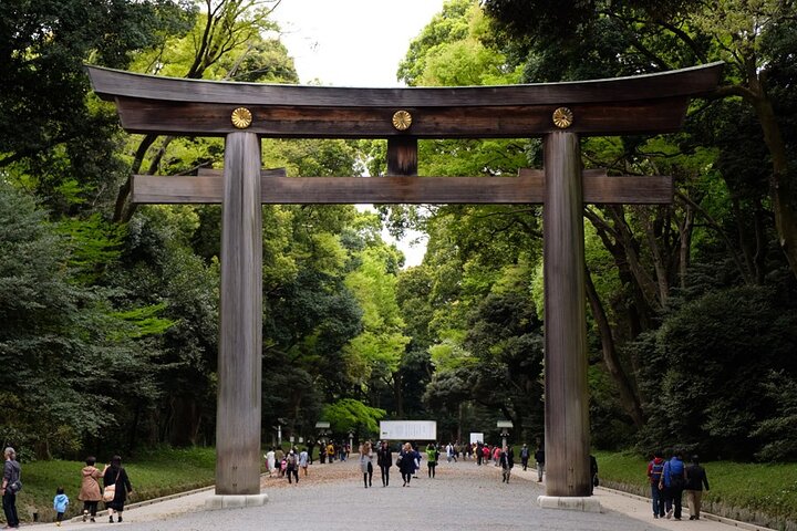 Private Tokyo Day to Night Tour: Asakusa & Shinjuku Golden Gai