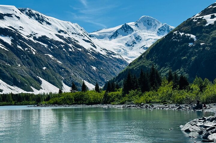 Whittier Cruise Transfer with Wildlife&Glacier tour to Anchorage