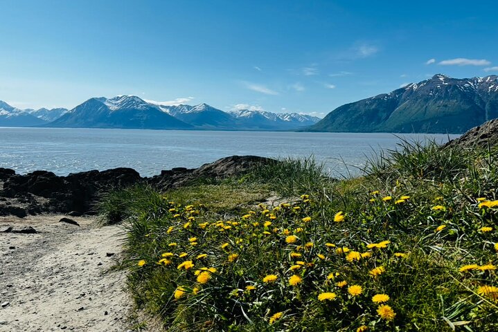 Whittier Cruise Transfer with Wildlife&Glacier tour to Anchorage