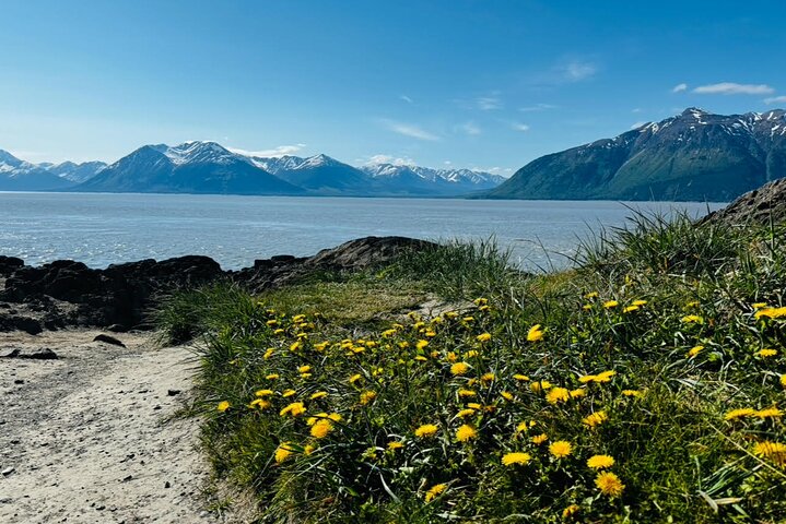 Seward Cruise Transfer with Wildlife & Scenic Tour to Anchorage