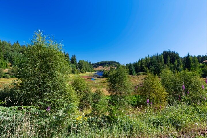 Loch Lomond and Trossachs National Park Drive Tour