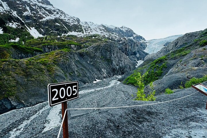 Seward Cruise Transfer with Wildlife & Scenic Tour to Anchorage