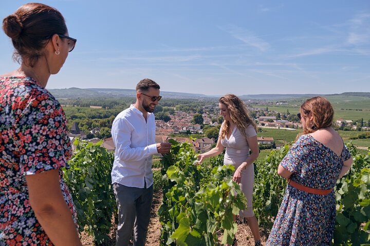 From Reims morning Champagne family growers