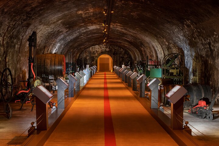 Reims or Epernay: Full day Champagne Mumm, family grower & lunch