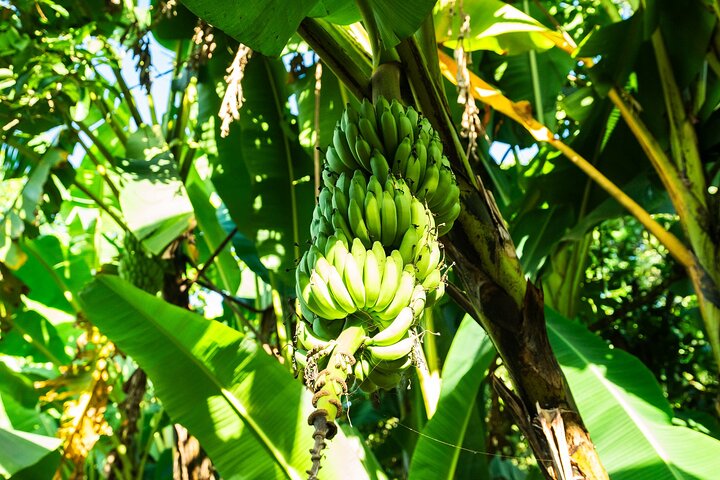 Zanzibar: Day Trip Stone Town, Spice Tour, Prison Island