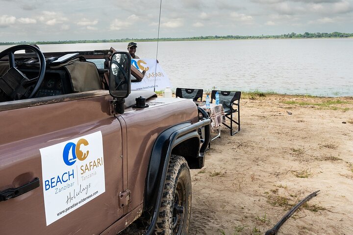 From Zanzibar: Selous Game Reserve Day Safari with Flights