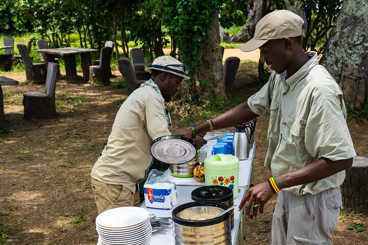 From Zanzibar: Mikumi Safari Day Trip with Flights and Meal