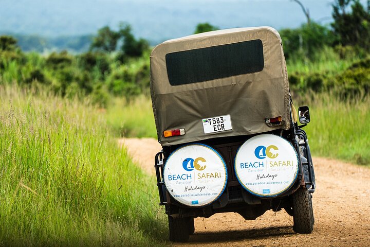From Zanzibar: Mikumi Safari Day Trip with Flights and Meal