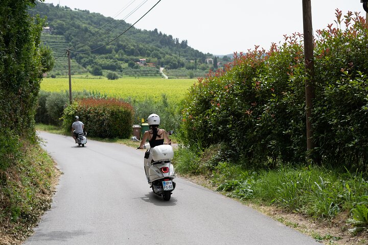 Half Day Vespa Countryside Tour and Tastings in Istria