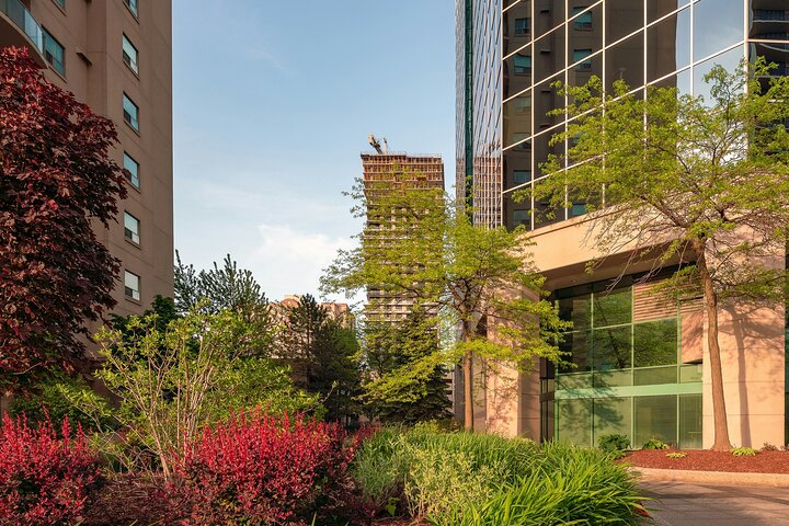 A Remarkable Scavenger Hunt: Exploring Forest City