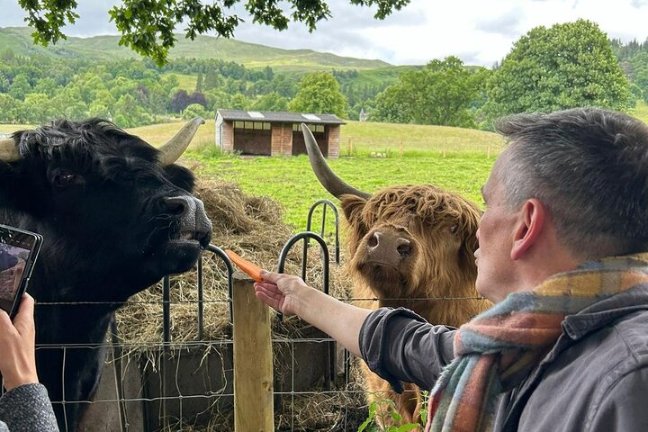 Hidden Scottish Gems & Highland Cows – Private Family Day Tour