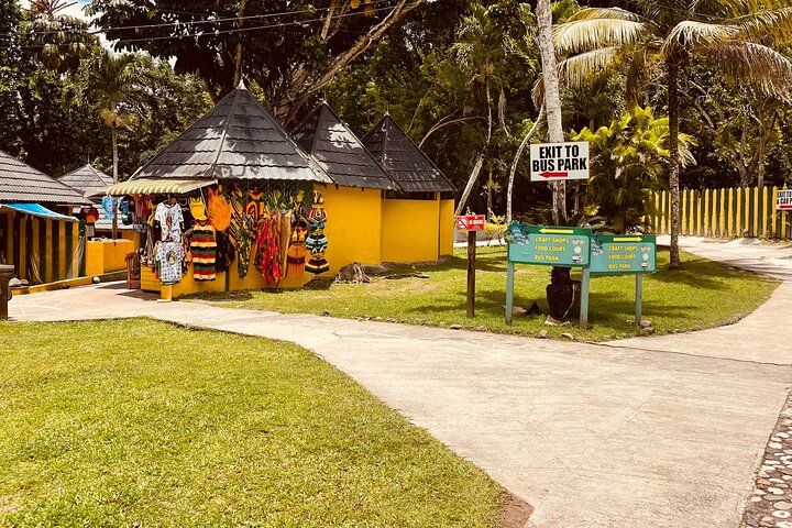 Private Dunn’s River Falls Experience + Blue Hole Secret falls