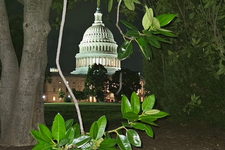 Private and personalized tour of Washington dc
