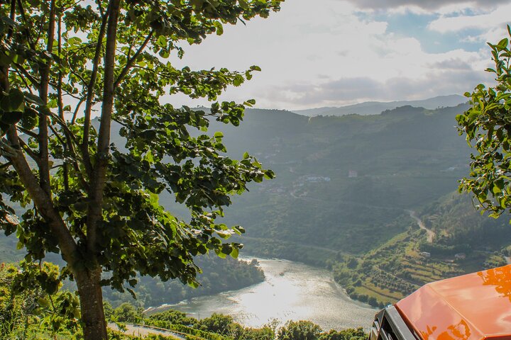 Best of the Douro in a Day: Boat, Wine and Family Lunch