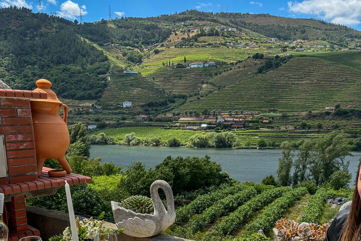 Best of the Douro in a Day: Boat, Wine and Family Lunch