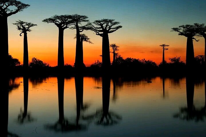 Morondava Tour : 3-day to Tsingy of Bemaraha & Baobab avenue