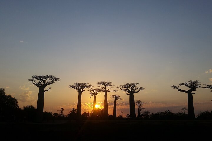 Morondava Tour : 3-day to Tsingy of Bemaraha & Baobab avenue