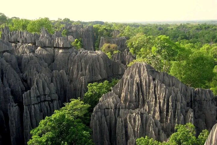Morondava Tour : 3-day to Tsingy of Bemaraha & Baobab avenue